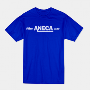 Aneca Shirt